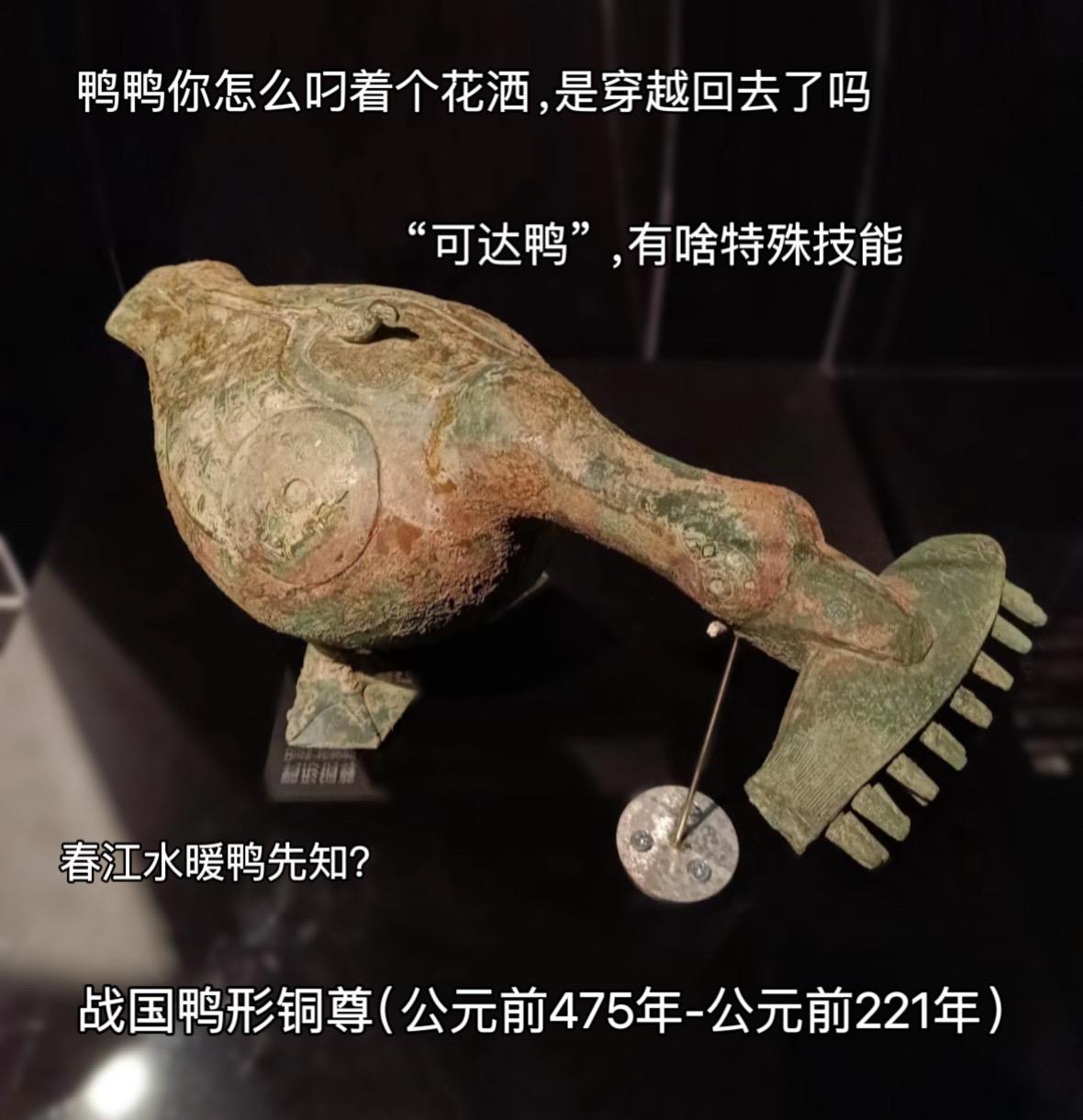 不得不说，鸭鸭你难到我了，这只不拘一格的战国鸭形铜尊