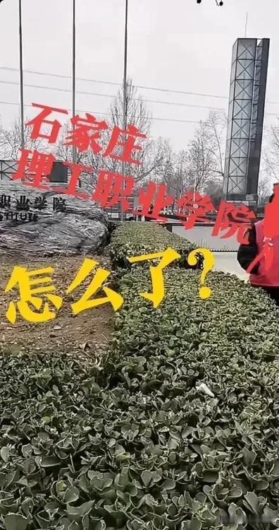 【石家庄理工职业学院】网友发的视频显示，身穿红色马甲的几个人，在石家庄理工职业学