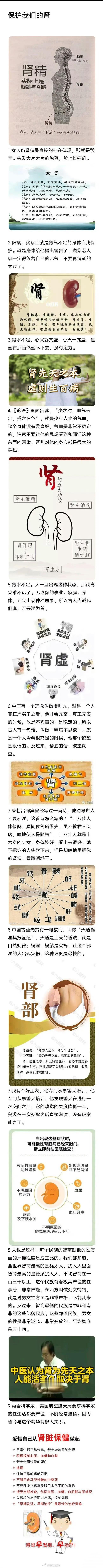 无论男女都需要，补肾精……！肾精足，精气神十足……！ ​​​