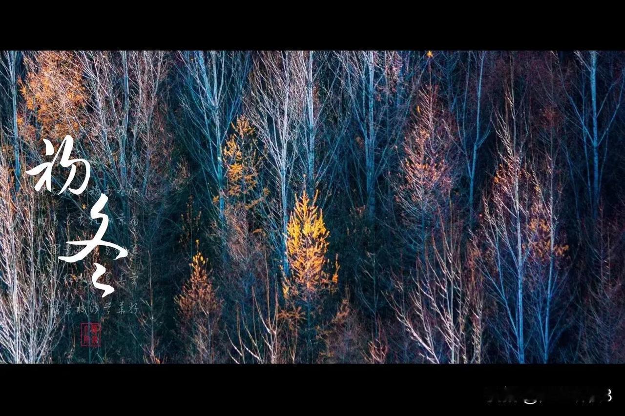 初冬之韵（原创首发）陋室听秋/文
 
当暮秋的绚烂渐渐隐去，初冬宛如一位素净的仙