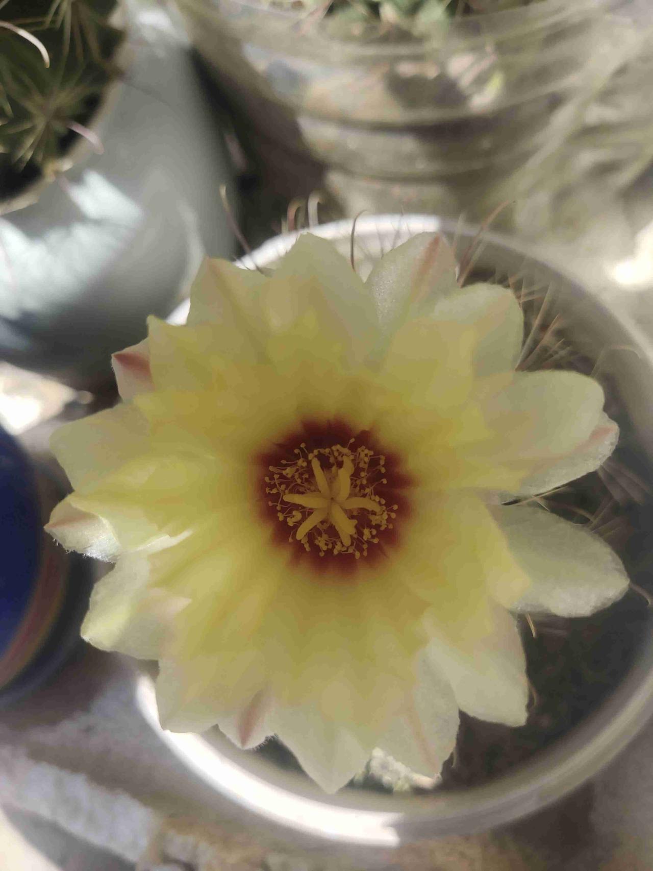 我的今日状态：😁轻松愉快
我这里的天气：☀️晴天