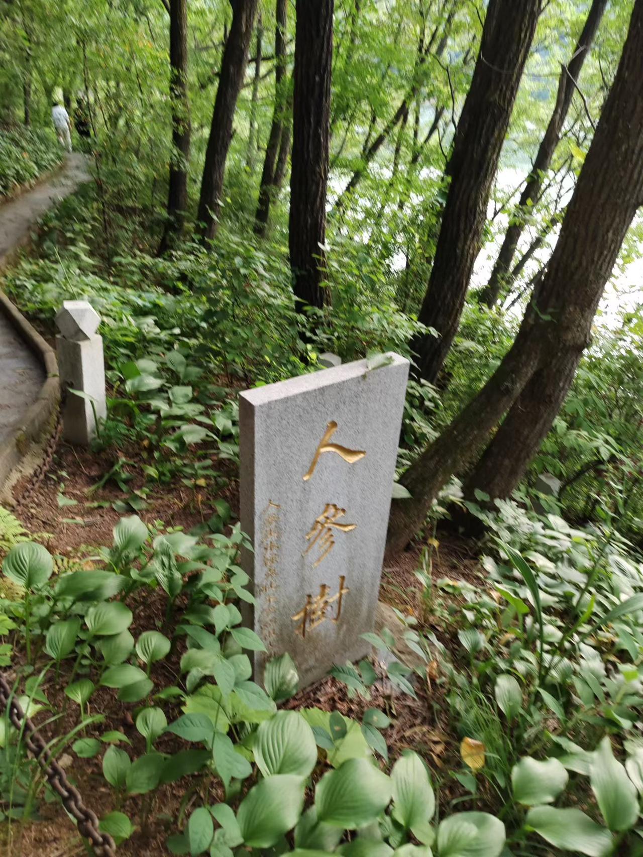 旅行随手拍