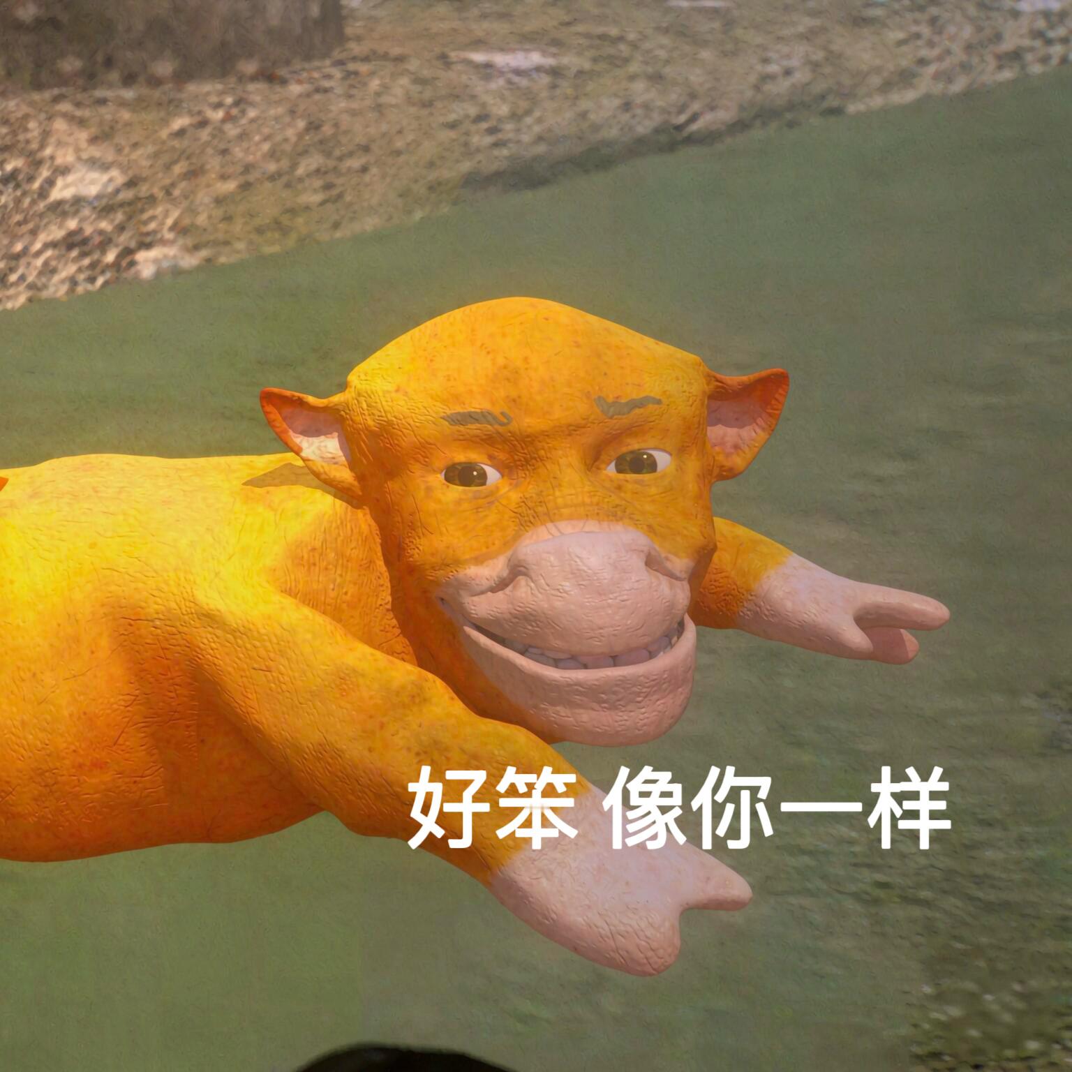 抽象表情包|牛来了牛走了 