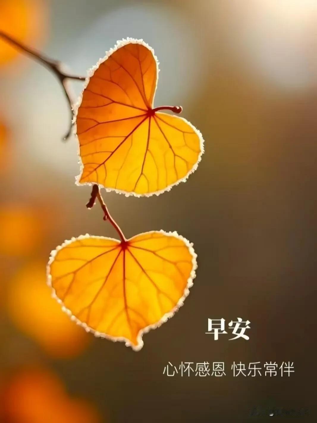 生活纵然多琐碎，心中保有暖意，便处处皆是温柔，愿今日万事顺意。