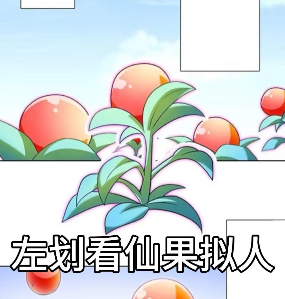 东方纤云诱捕器🍎。