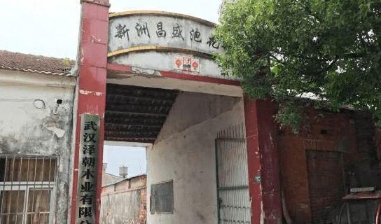 历经三个周的调查，湖北一村60余人患癌事件迎来结果，武汉市对整个调查过程和公众关