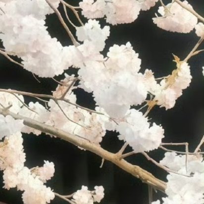 阳光信用🌞 阳光信用 🌞每日一善  破云见光乌云只是光影的幕布，狂风为勇者加