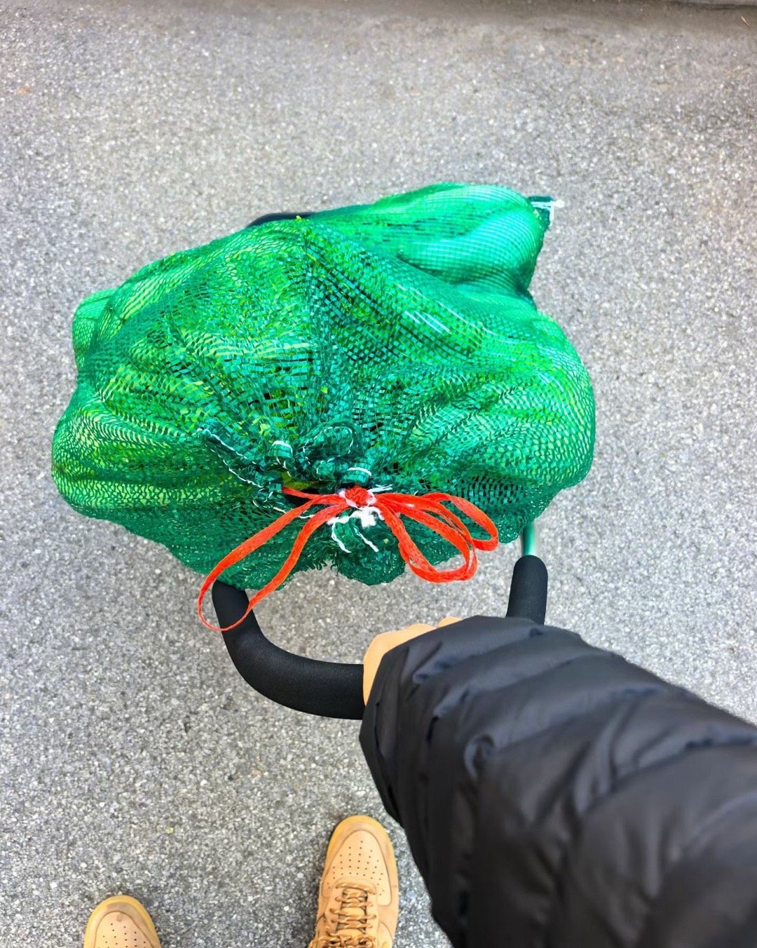 整了一兜大白菜 