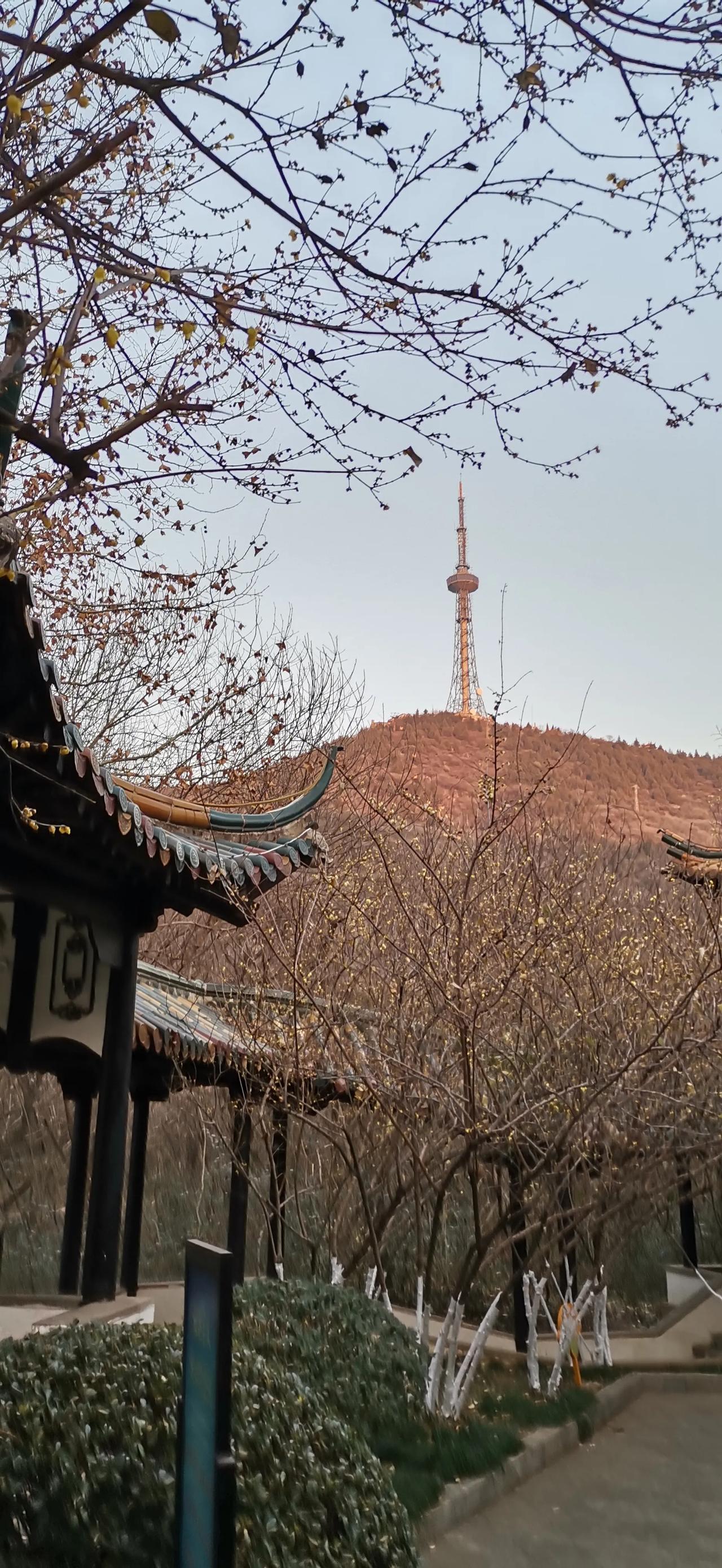随手拍好图