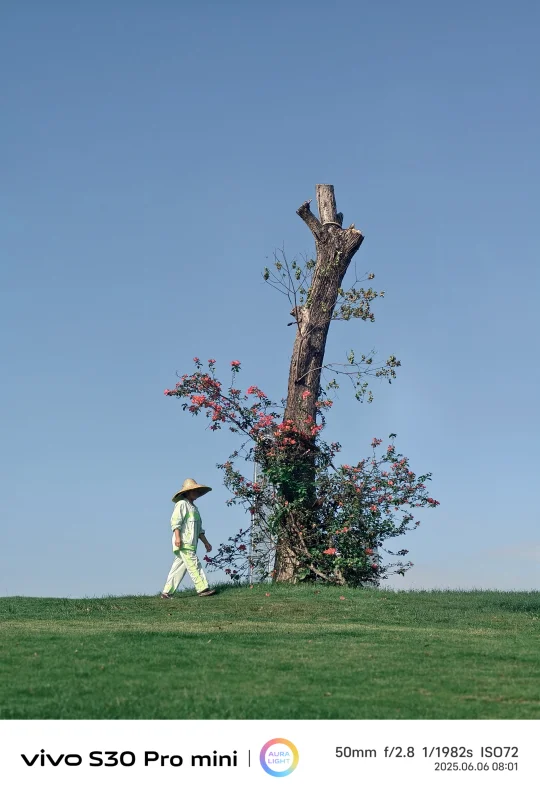 一些用手机拍的照片