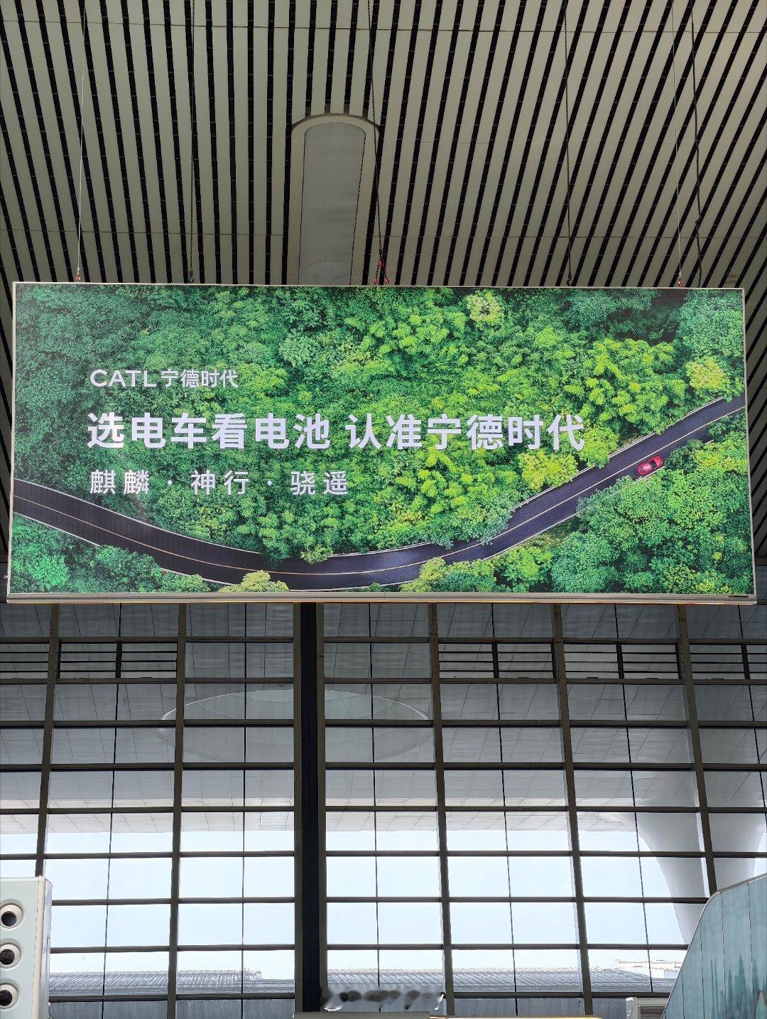 动力电池品牌都要向宁德时代学习，要坚持不懈地投放广告，占领用户心智。[老师好]新