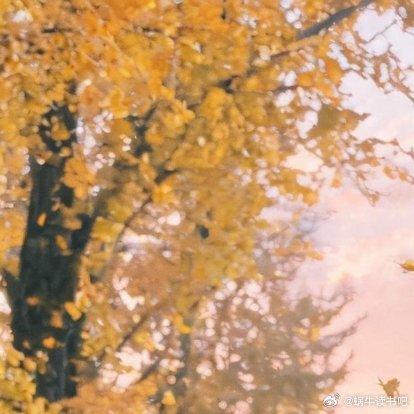 【5】男人所憧憬的爱，是初恋；女人所憧憬的爱，是最后的恋情。—— 渡边淳一《失乐