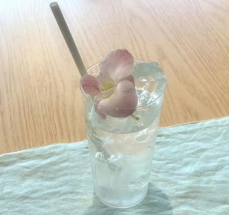 【背景图】分享˚₊✯͡ 🜚 *·. 绿色|夏日|薄荷|清爽|饮品|兰花|复古|