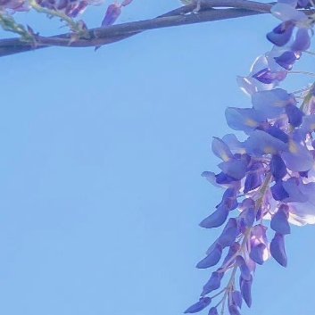 每日一善‎每日一善 ‎阳光‎信用 当努力到一定程度，幸运自会与你不期而遇。愿你依