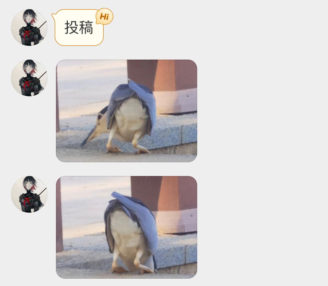 弯腰捕鱼的夜鹭翘屁嫩鹭[开学季] ​​​