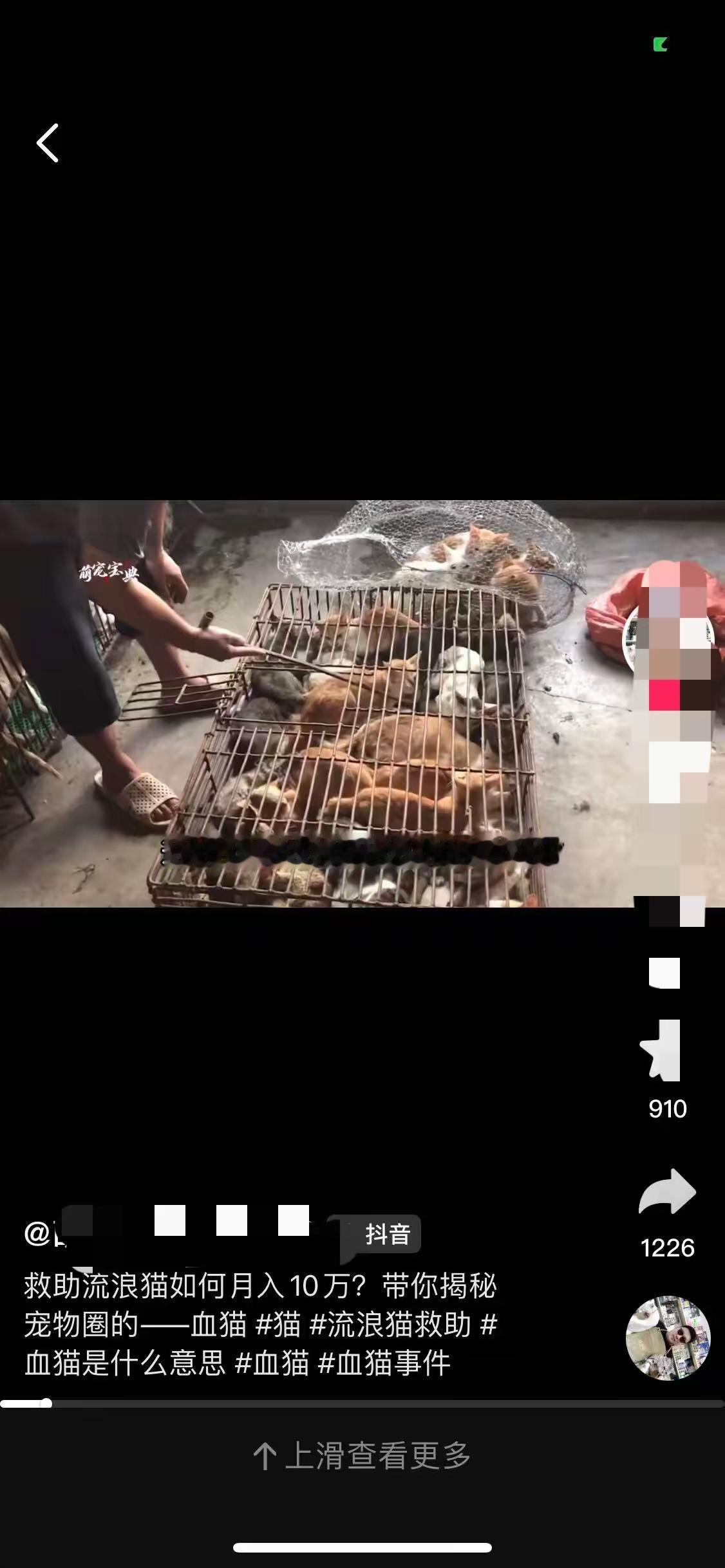 广东有个陈女士，最近曝光的血猫事件，让有些动物保护人士毛骨悚然，事情还得从陈女士