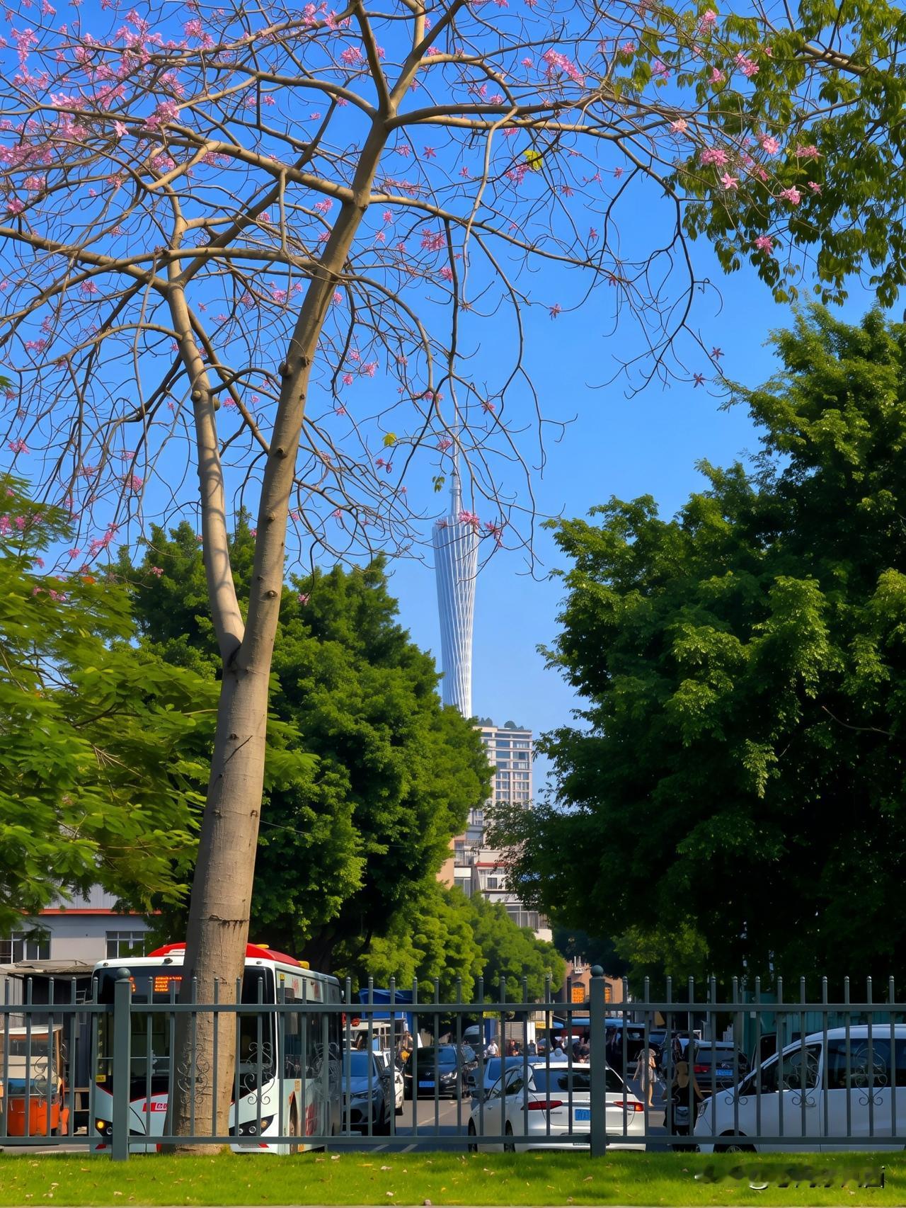 广州新文化馆｜藏在城市里的广府园林秘境✨
   漫步广州市新文化馆，拾级沿步道前