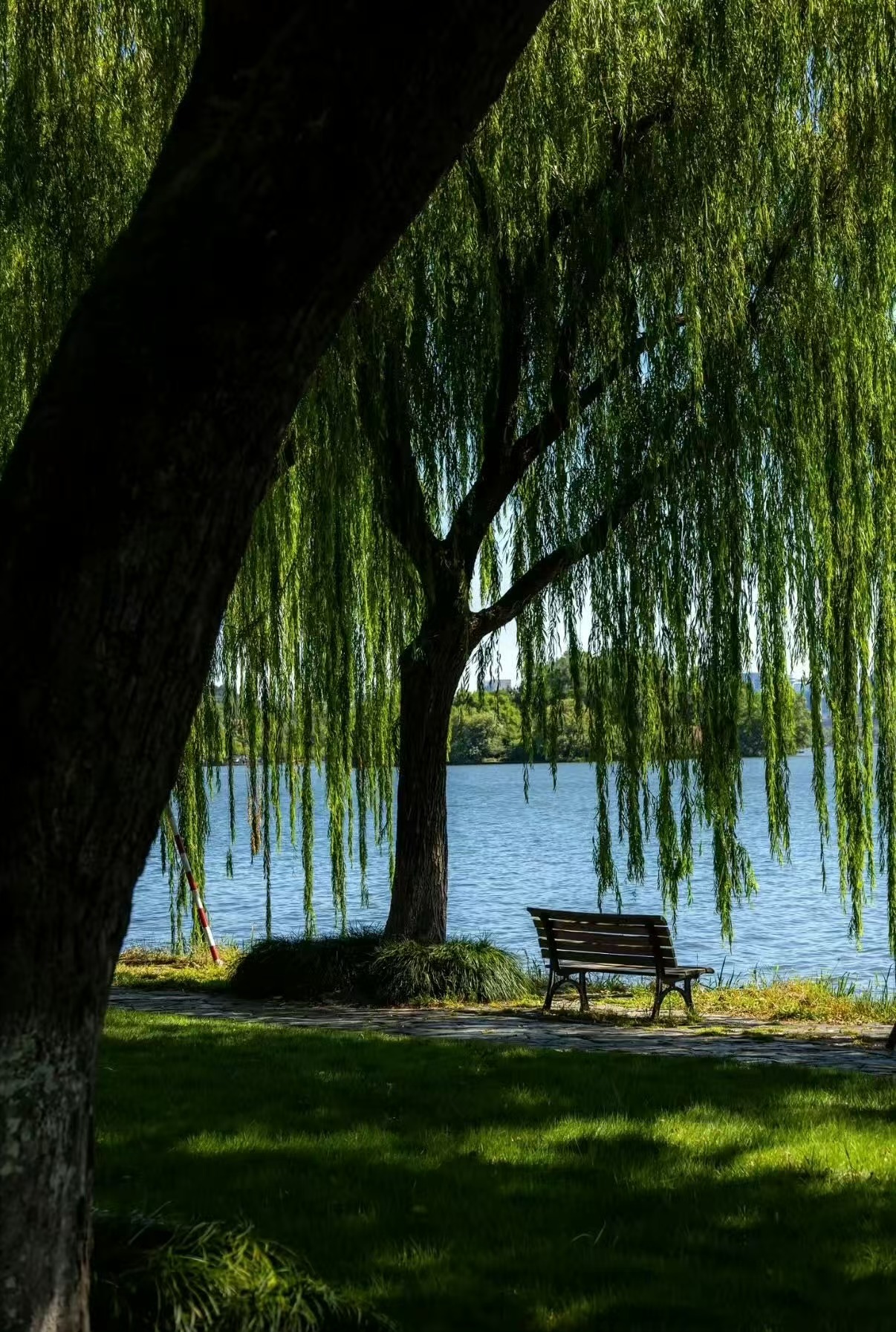 全国人民羡慕杭州人别的城市卷上班卷业绩，只有杭州在卷怎么让打工人快乐！街头云朵解