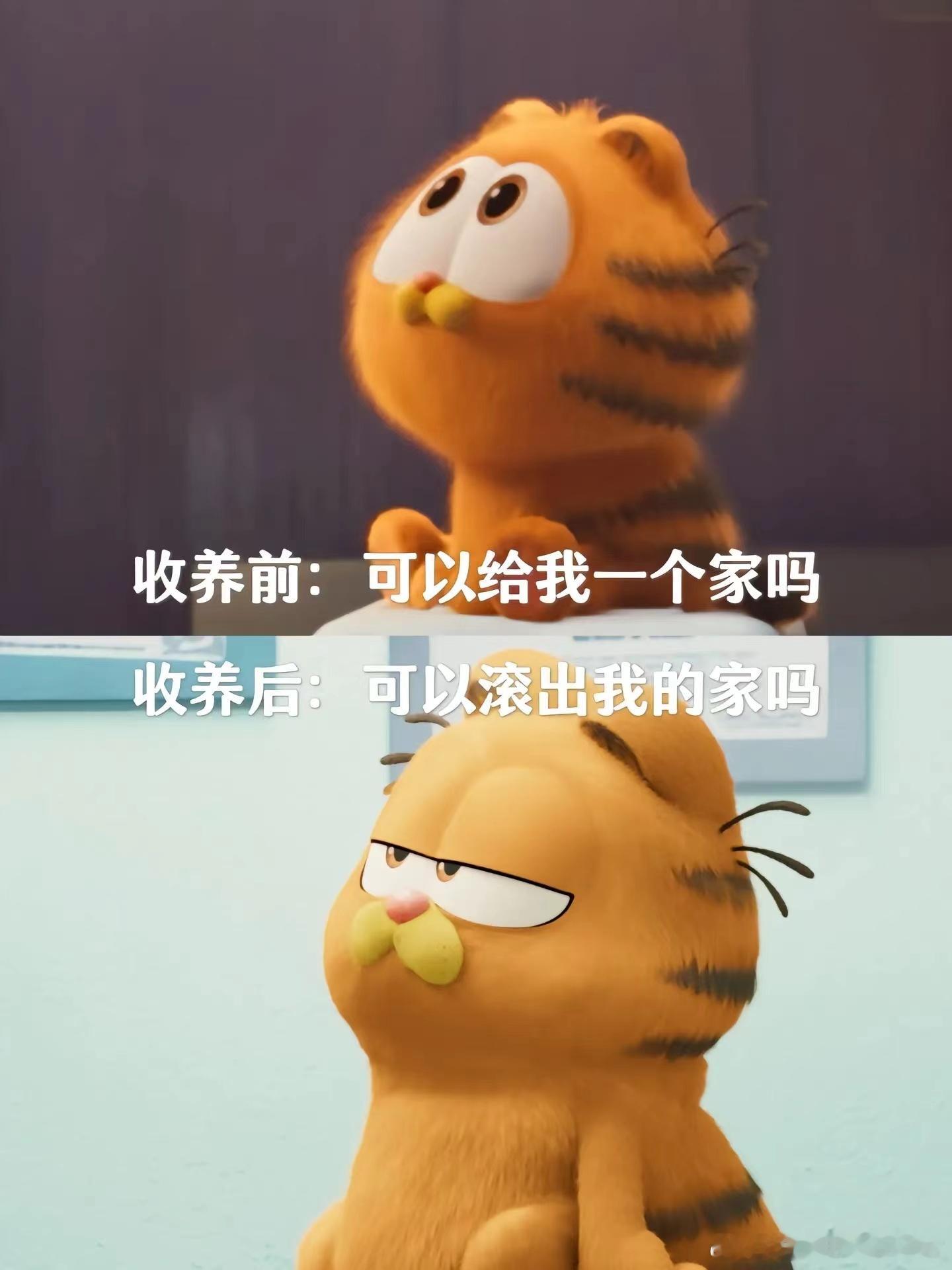 #加菲猫 社畜淡班精华# 六月了，该给自己放个假，去看看加菲猫的电影了，让它用它
