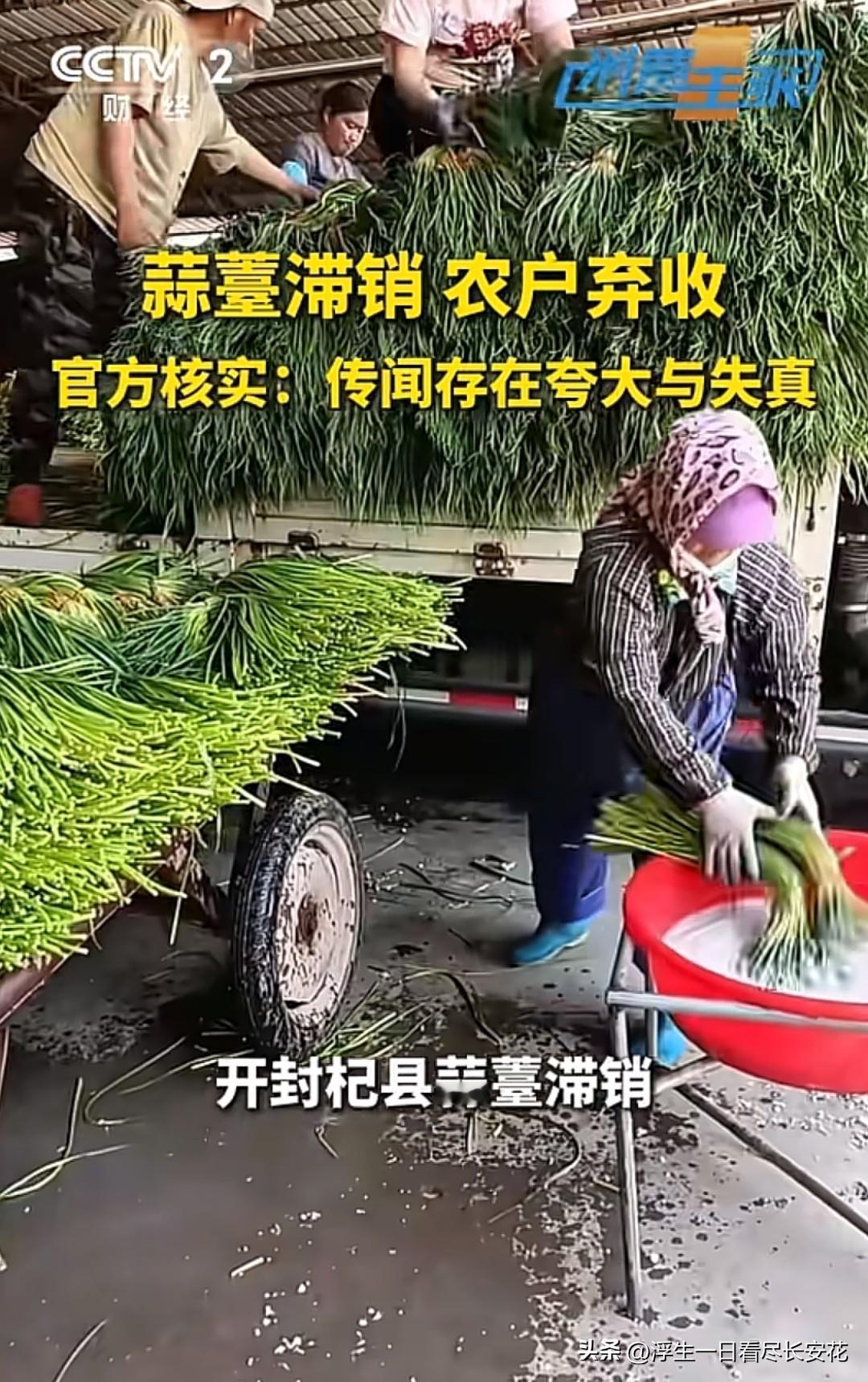 那些被刻意堆在田埂上的蒜薹，被剪辑成“农户弃收”的悲情画面，配上“买五斤发十斤”
