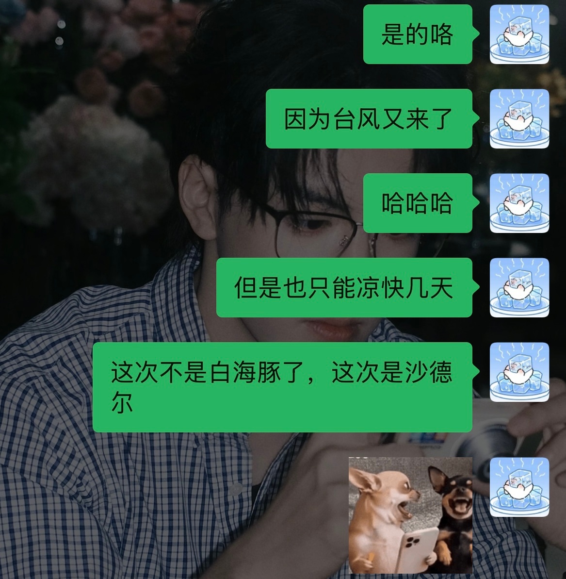 湖南人不语，只是一味的好凉快 ​​​