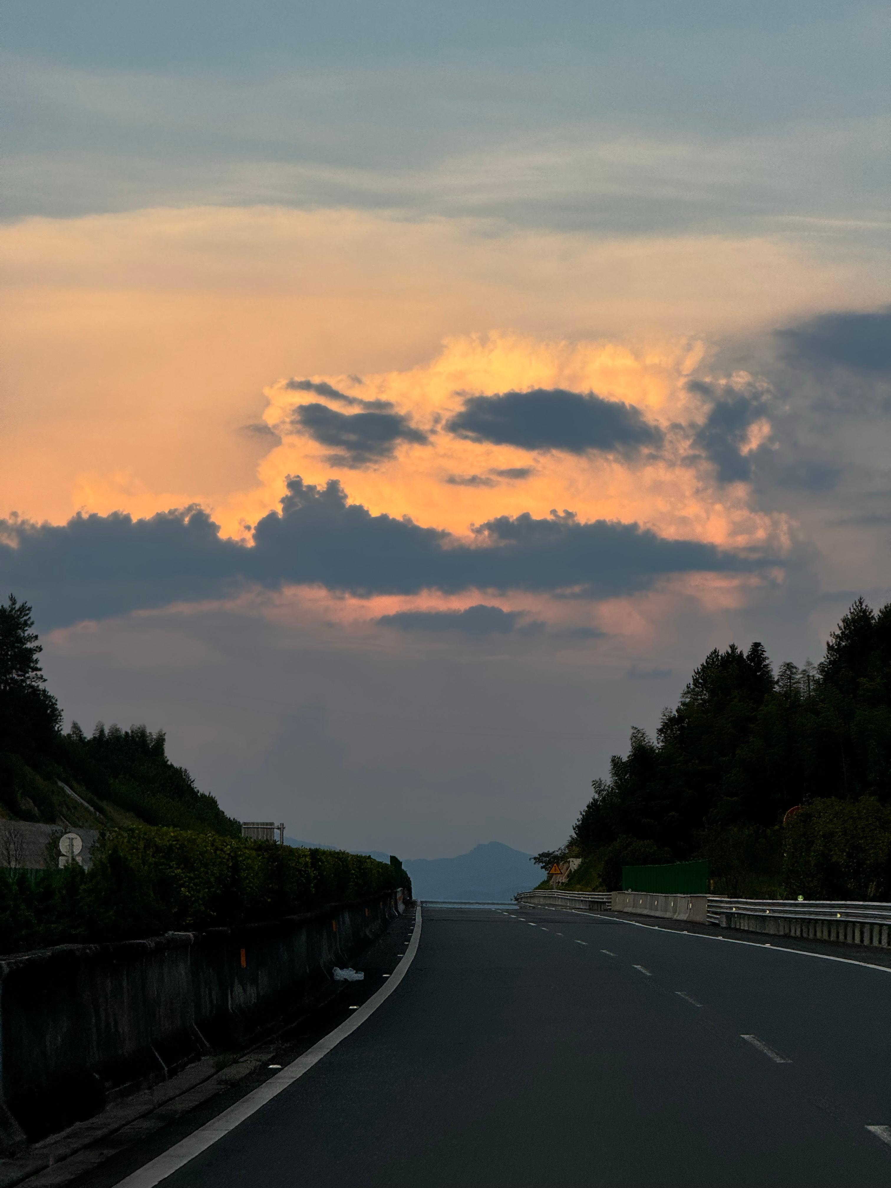 梧桐虽立，其心已空。  ​​​