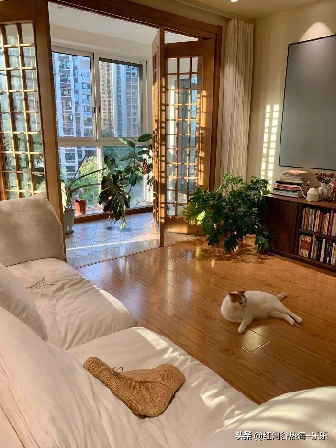 上海楼市真牛气。
在这一波全国楼市小阳春里面，上海楼市有可能是唯一一个能实现逆势