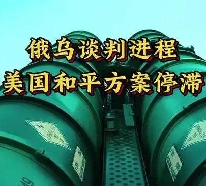 《俄乌谈判进程：美国和平方案停滞深度解析！》俄乌谈判进程：美国和平方案停滞深度解