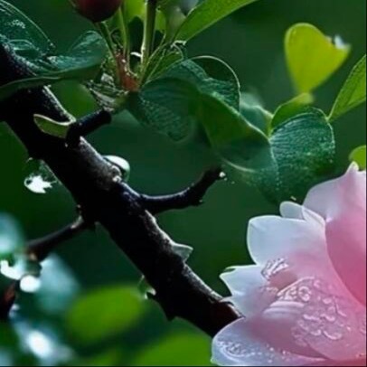 每日一善  💫阳光信用  💫每日一善有时候生活的曲折会让我们感觉到手足无措，