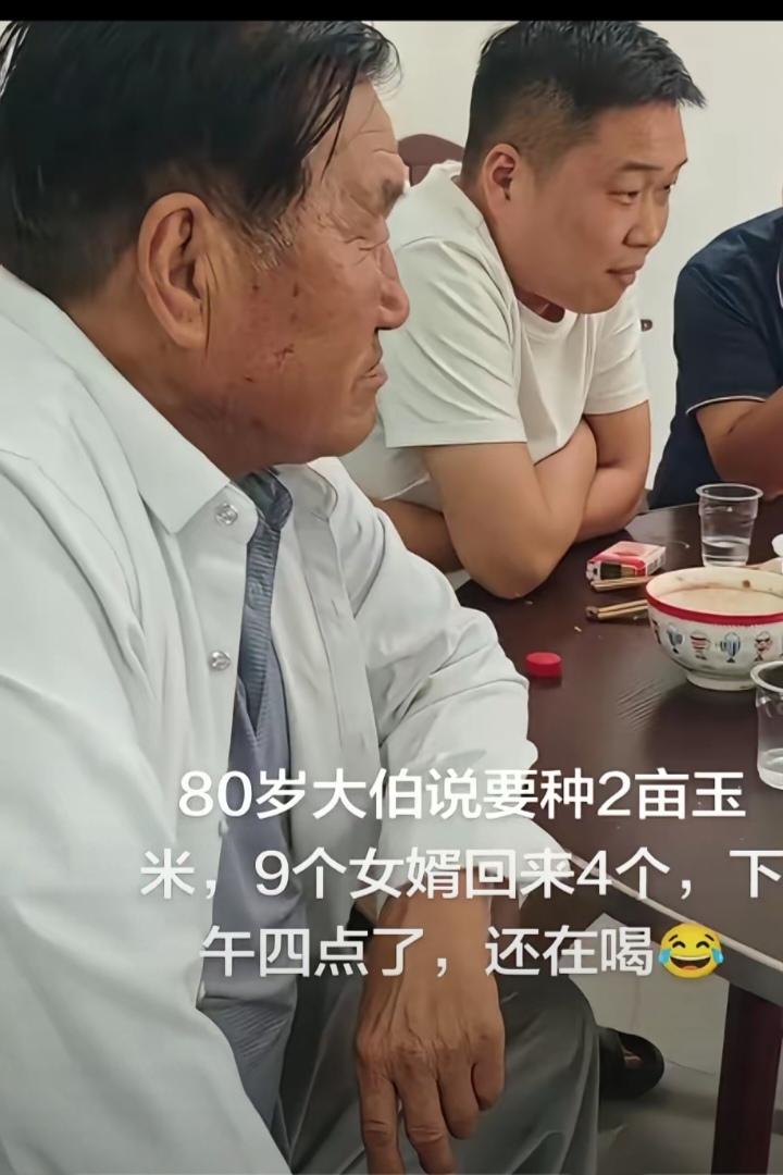 80岁大伯说要种2亩玉米，9个女婿回来4个帮忙，结果活没干什么，中午吃饭，一直喝