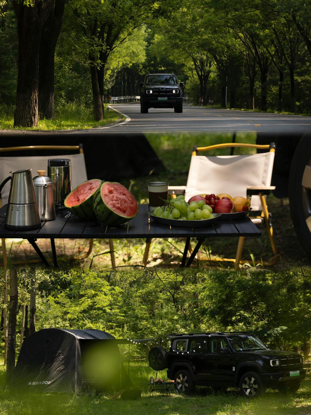 卷不动了？这搭子让我周末盲盒露营上瘾！