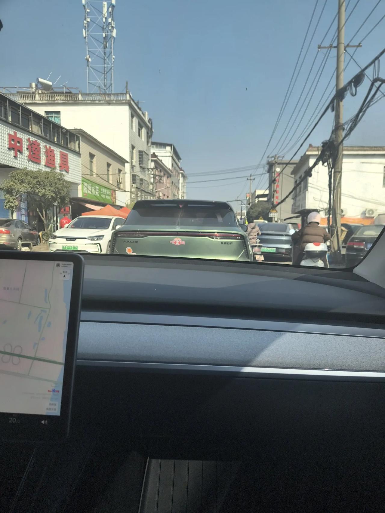 每日打卡好习惯开年第一天，出去浪浪