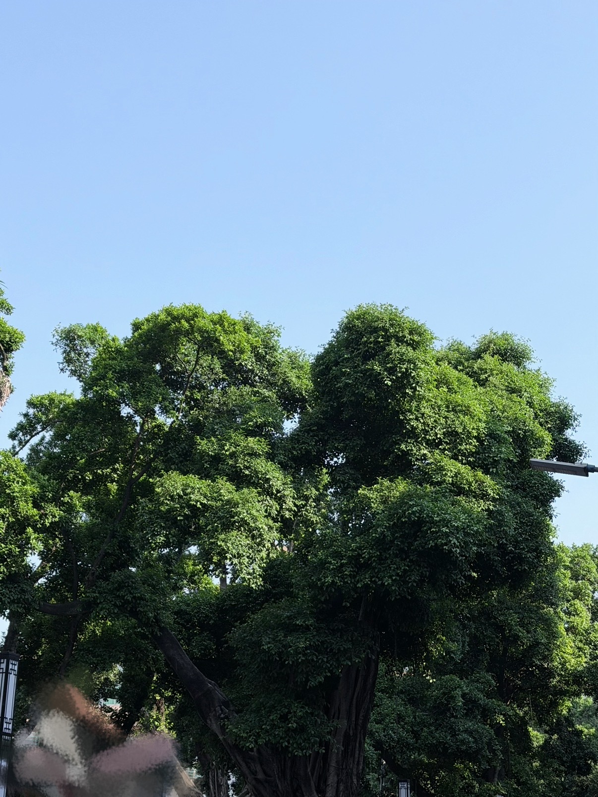 我家猪墨的🫧又给人看得心软软了幻视一个孩纸出差工作给老母亲的报备没有现成的天空
