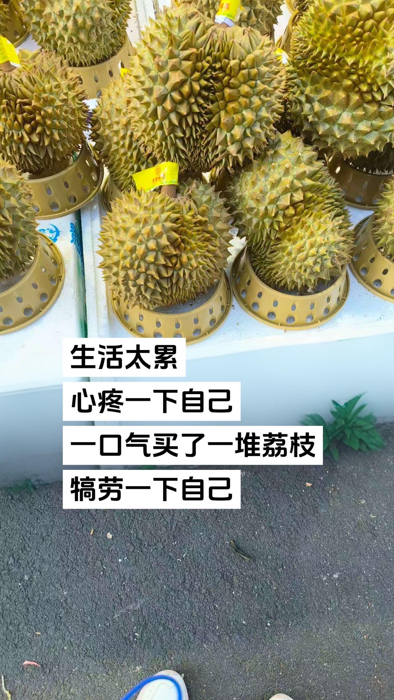 大荔枝