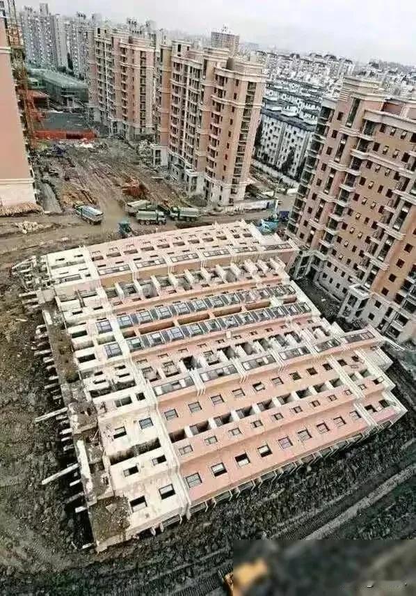 树都知道扎根越深越牢固的道理，人却不懂[奸笑]