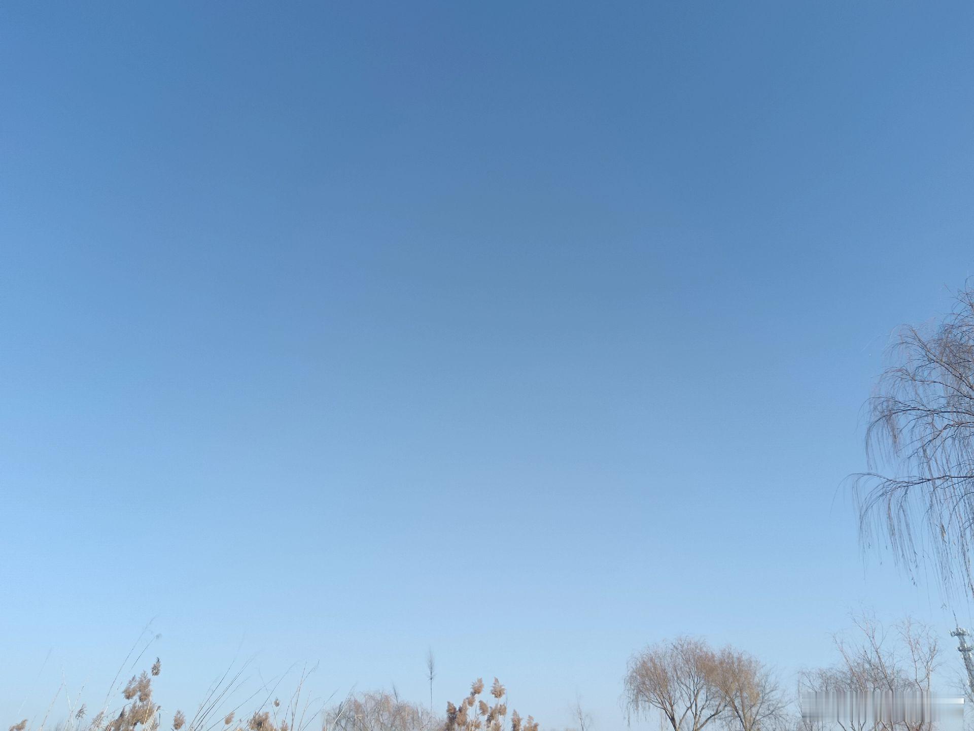 情感 就是这句，一人难顺百人意，百人难顺一人心：意思就是无论你活成什么样子，都有