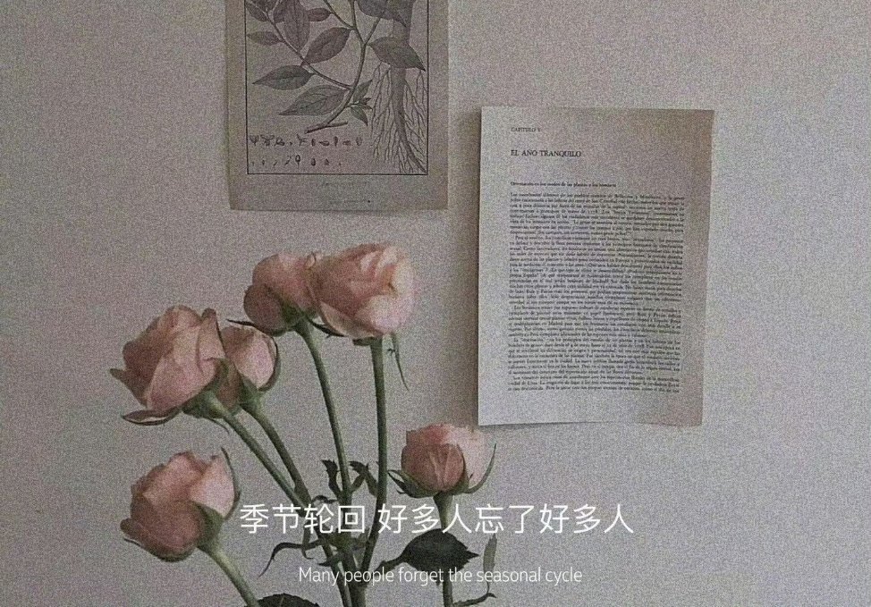 “心知肚明的事不必言说，言不由衷的人也没必要拆穿。我对得起最初的萍水相逢，也对得