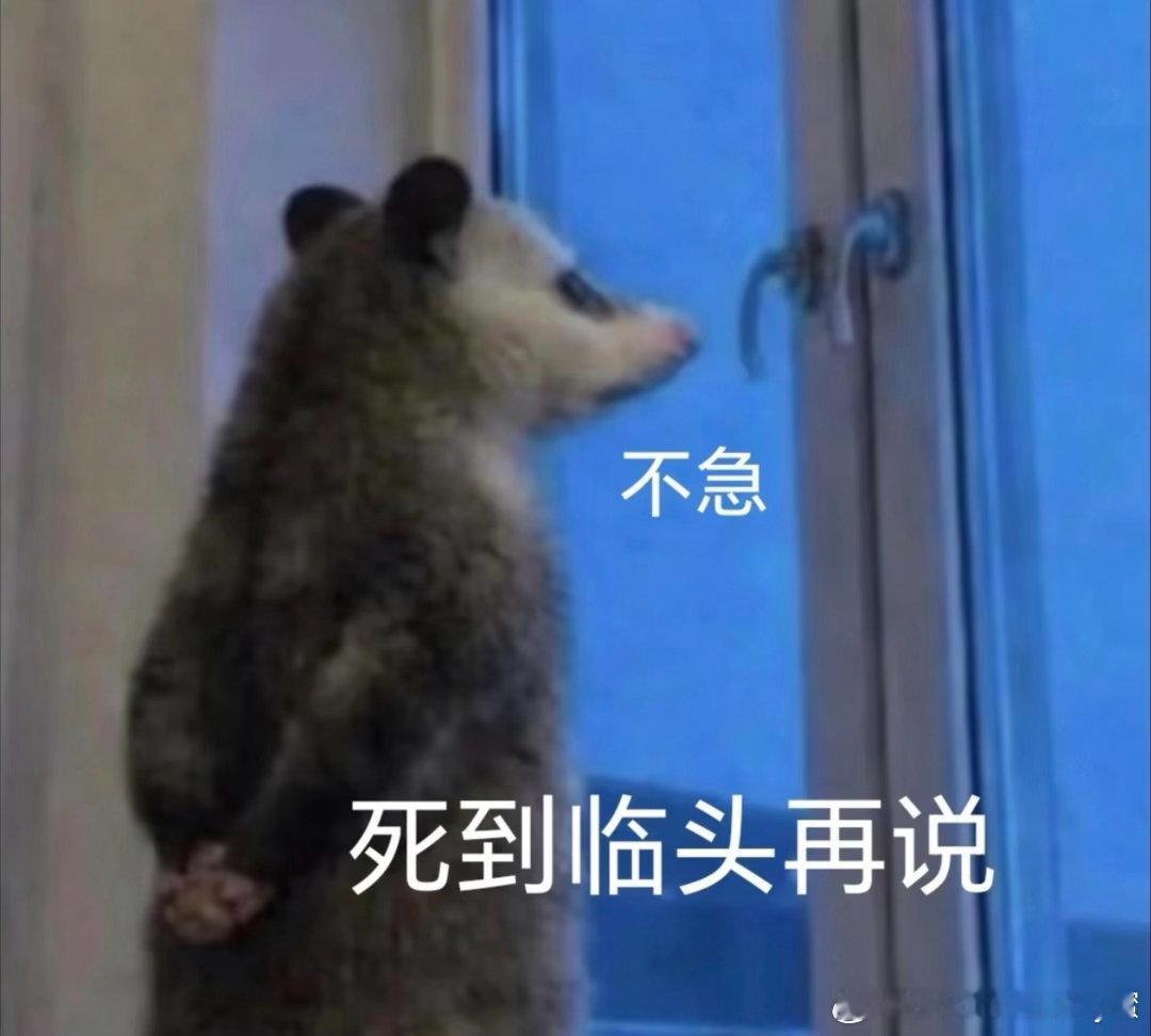 切莫对我过多关注，心直口快说重点，不会在意你爱不爱听，只会在意我开不开心🤩 