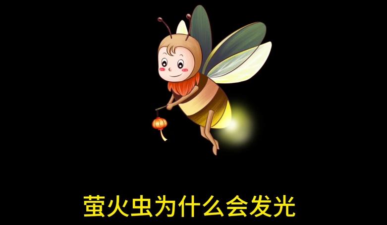 为什么萤火虫会发光？

夏夜草丛里，一团微光忽明忽暗地浮起来，像一粒被风吹散的星