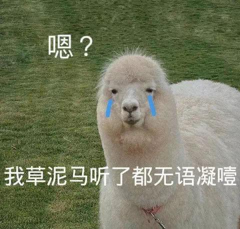 只看仙儿我天天好心情，一上围脖不仅处处嘿子，身边还有沙比。 ​​​
