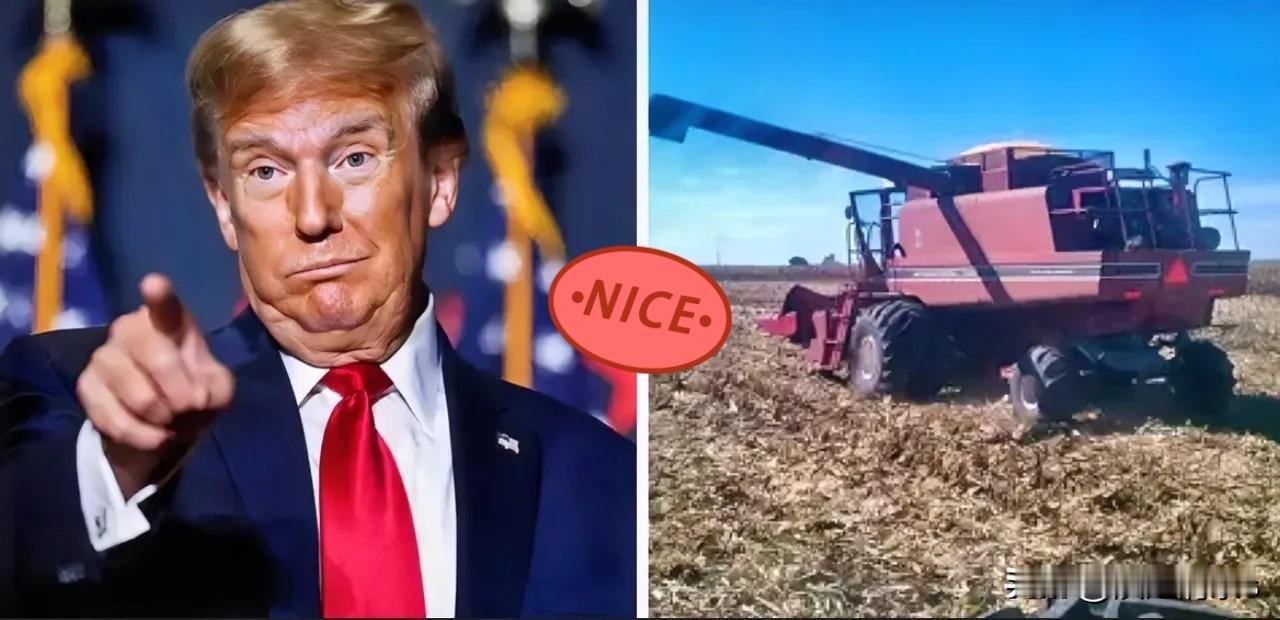 美国很急，中国取消订单
当地时间12月17日，美国农业部宣布，中国已经取消了多达