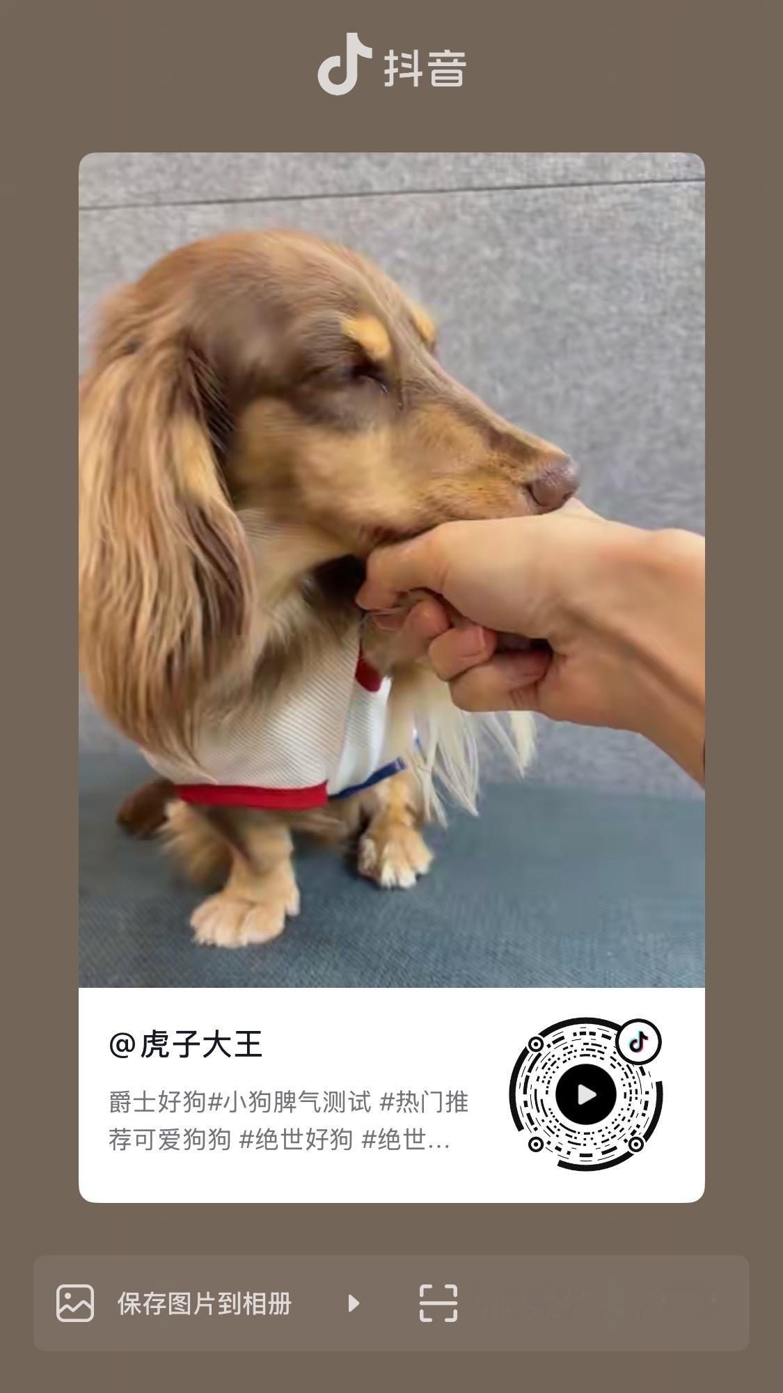 好萌呀 