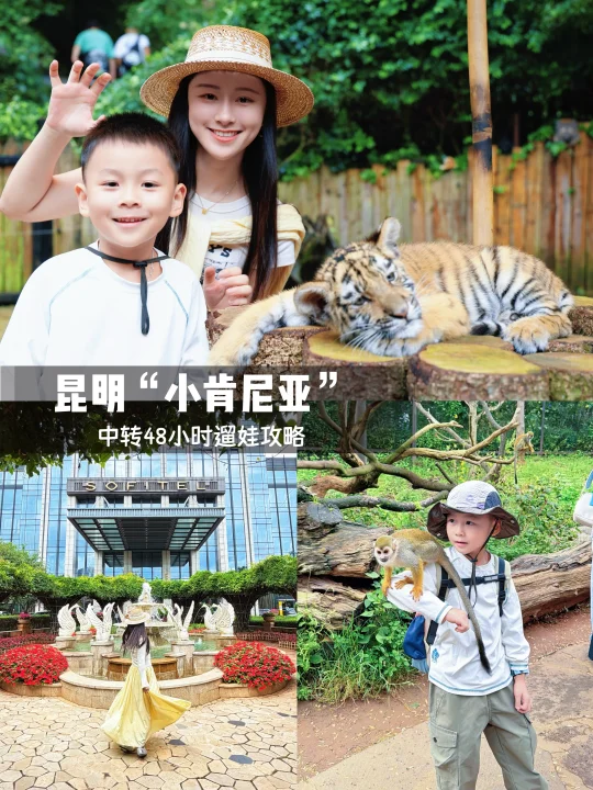 昆明中转48小时！小肯尼亚遛娃+云端法式假期