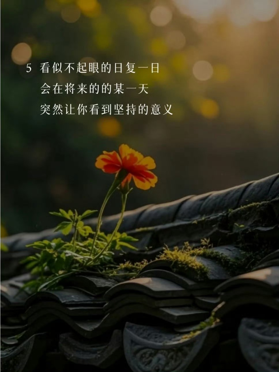 治愈系文案分享 