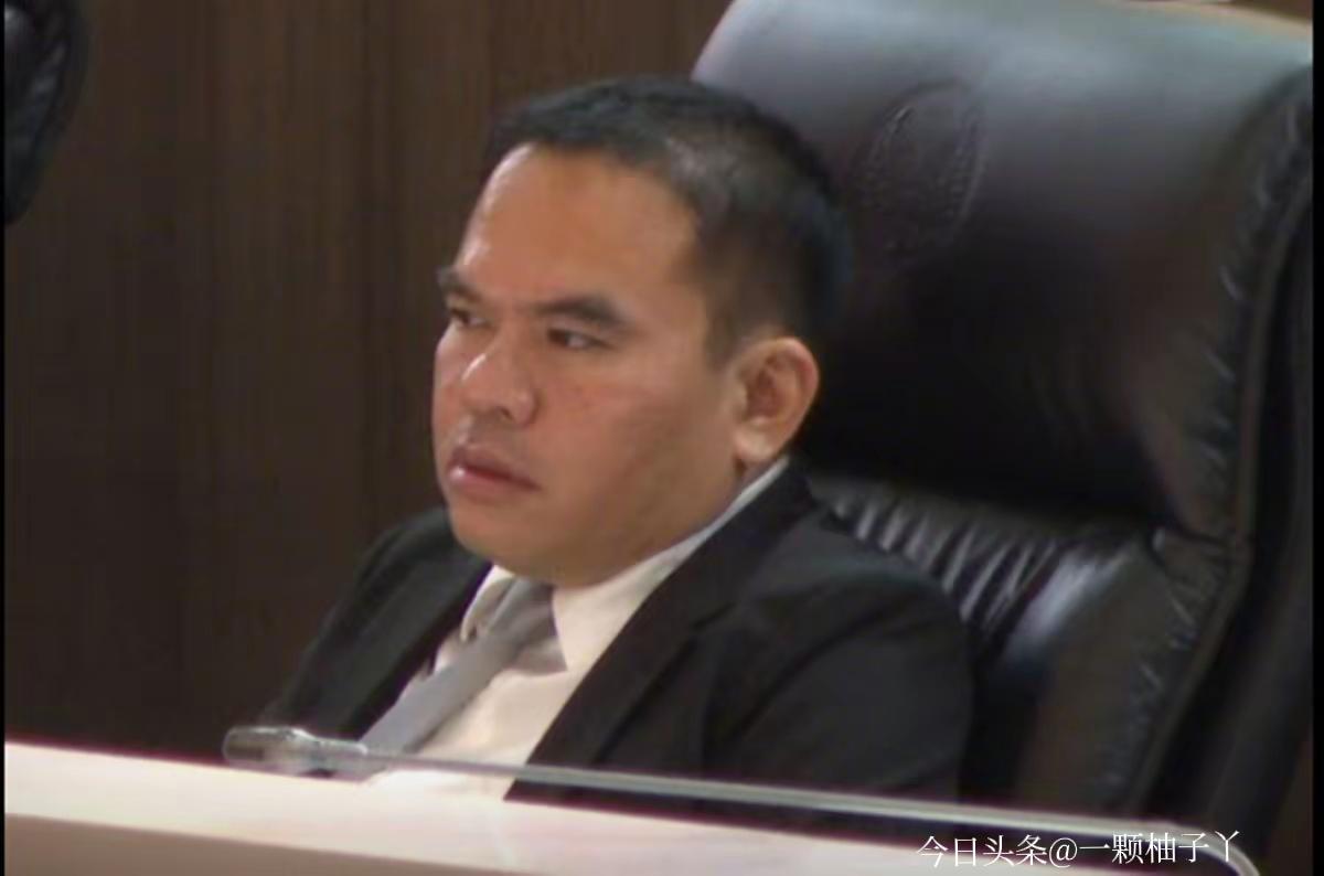 3月19日泰国国会举行总理选举，为泰党候选人阿努廷成功当选新任总理。原本执政联盟