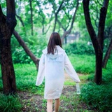小七热谈娱乐