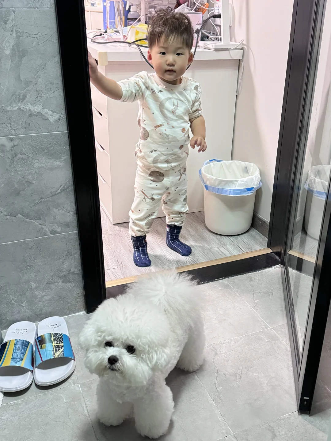 我的厕所搭子们