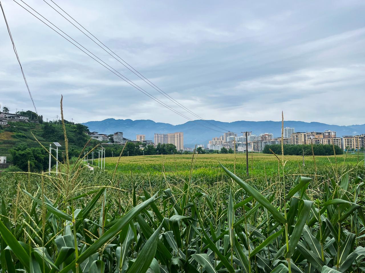 长在田野上的城镇——这里是重庆市开州区临江镇，一座被田野、山川包围的小城镇。