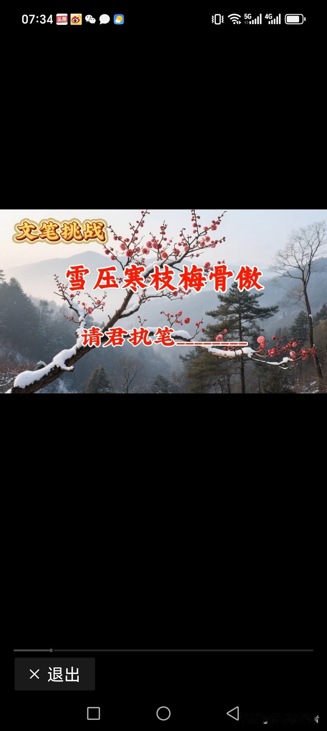 雪压寒枝梅骨傲
风吹秋叶枫红遍