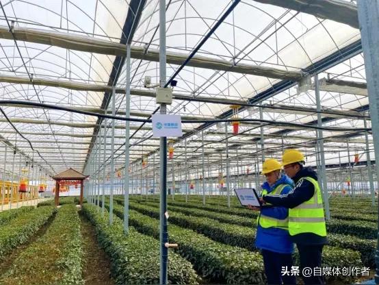 春满中国！科技耕出丰收希望，花海催热春日经济
 
春日的神州大地，处处皆是蓬勃生